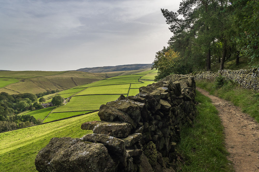 Kinder Low